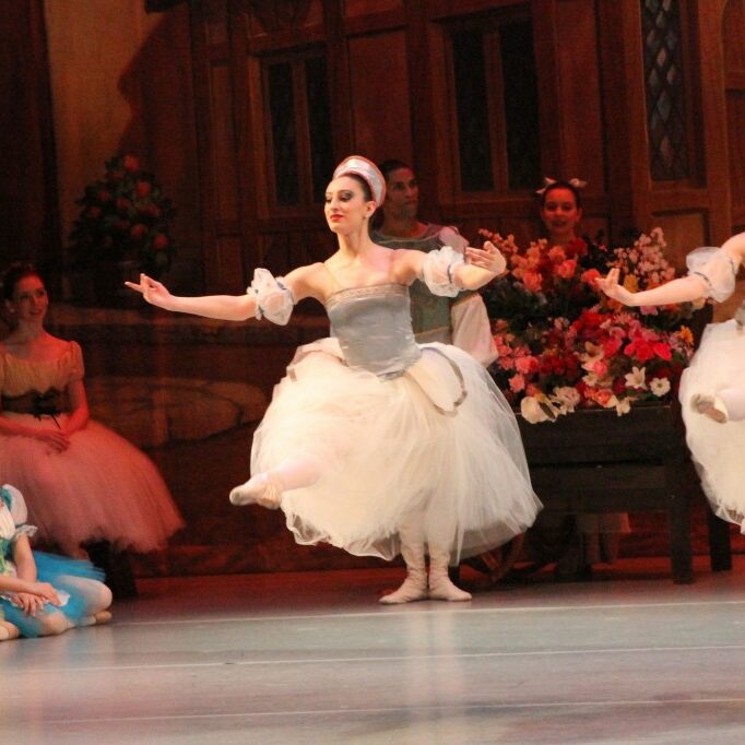 13 swan lake
